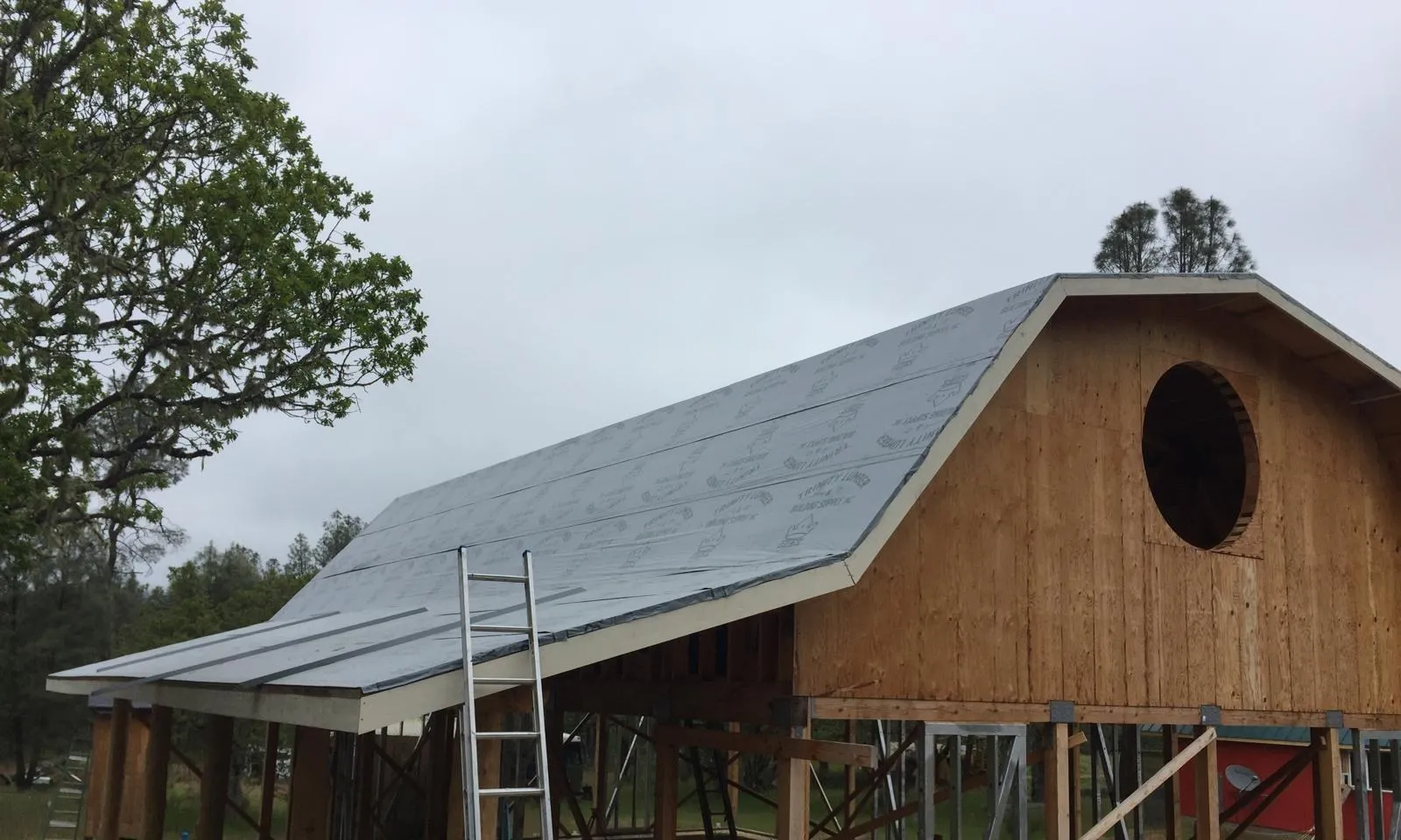 Before: Barn roof: underlayment to green standing seam