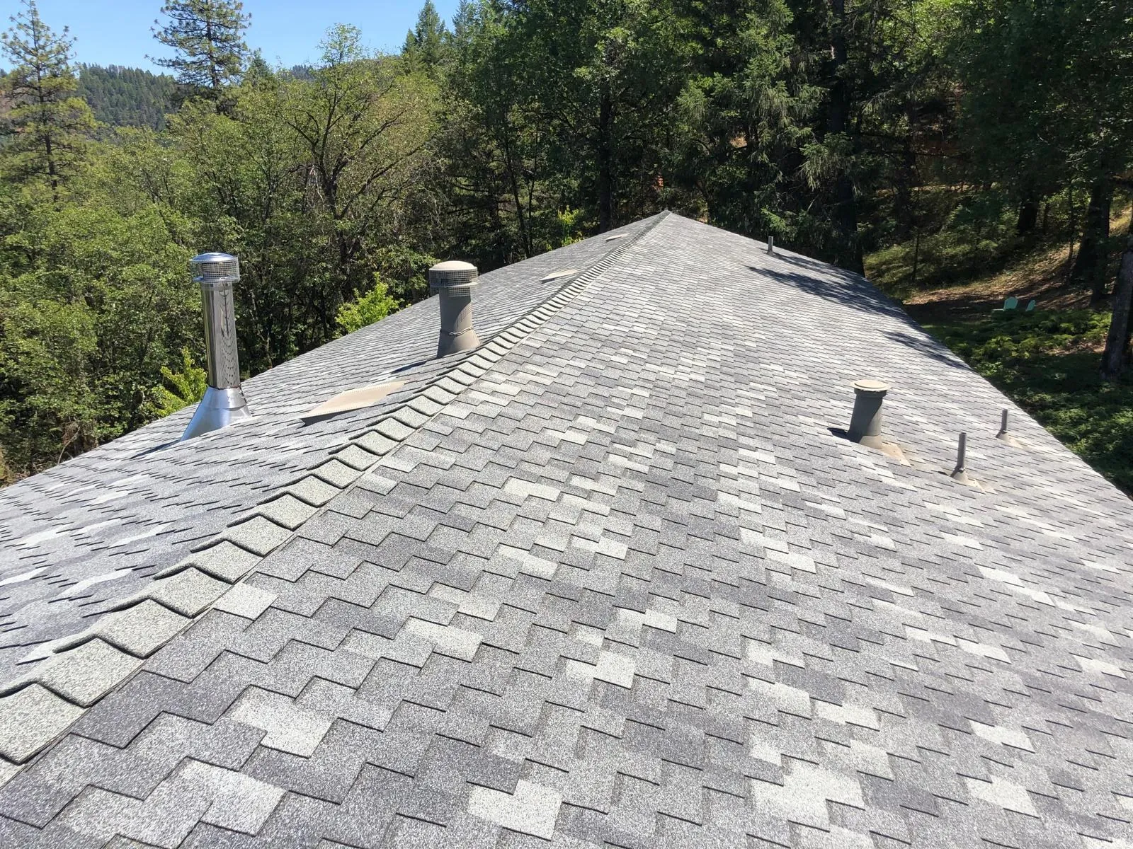 After: Light gray shingles in the forest
