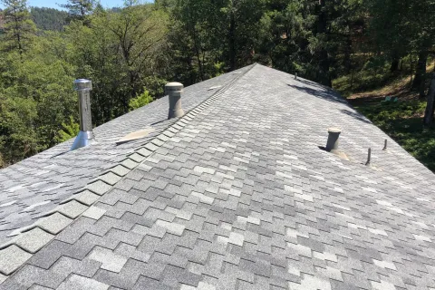Light gray shingles in the forest